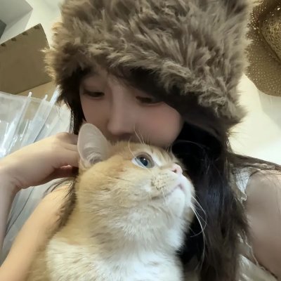 说得好，小猫咪！