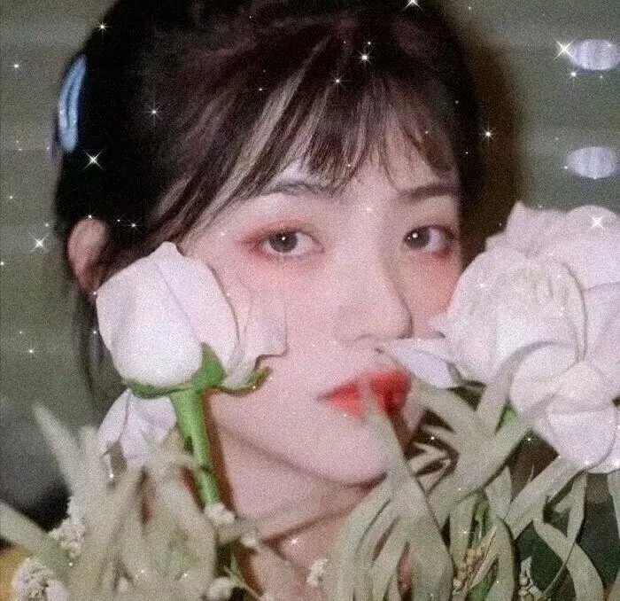 疯狂的狮王